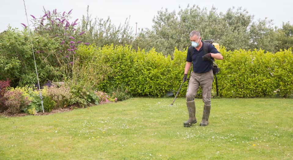  One reader reveals how to make your own weed killer