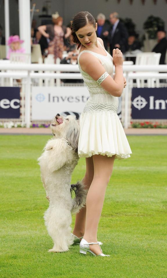 Pudsey and Ashleigh pictured at Crufts 2012