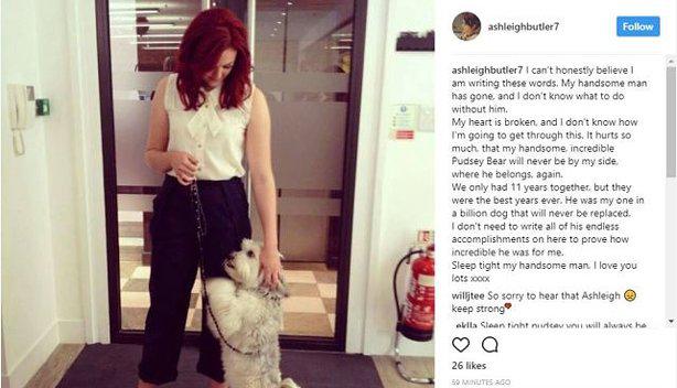  The last picture of Pudsey posted on Instagram reveals Ashleigh's heartbreak