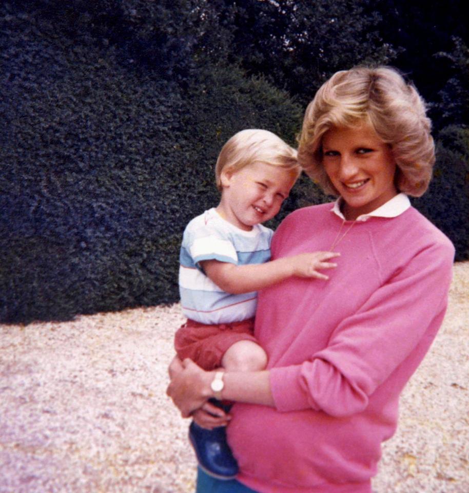  William and Harry loved how funny their mother was - even when it was at their expense