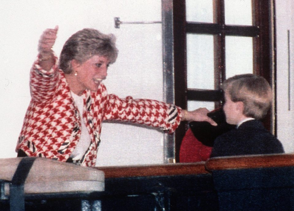  Diana loved her children, that was clear for all to see