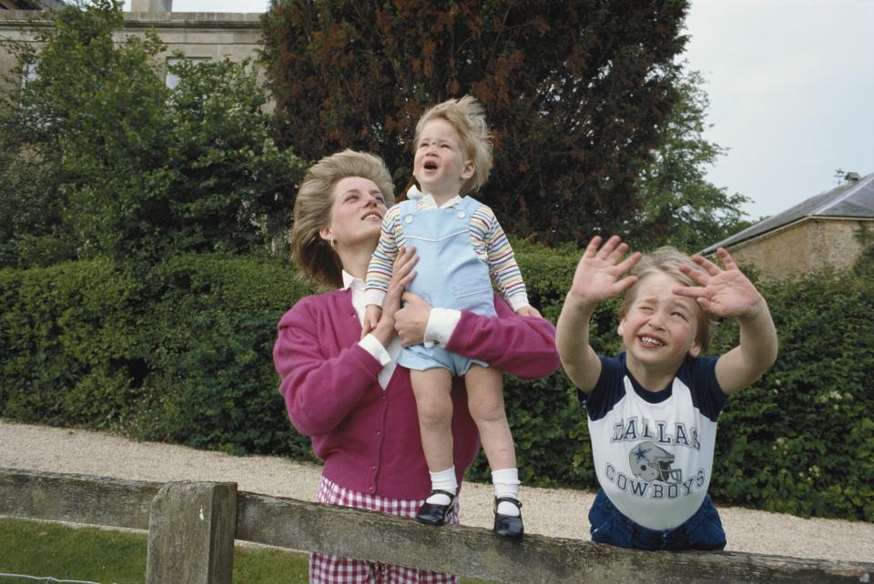  Diana holding up Prince Harry in Highgrove House Garden, Gloucestershire, in 1986