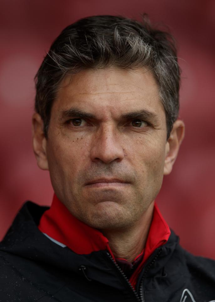 Mauricio Pellegrino appears resigned to losing Virgil van Dijk