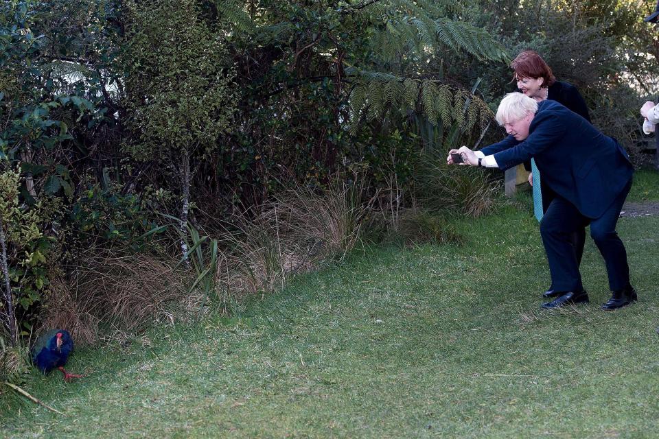  The minister was pictured struggling to snap a photo of a South Island takahe