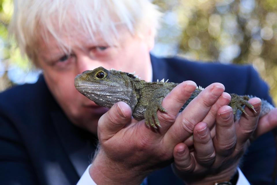  The Foreign Secretary held a lizard in the Zealandia sanctuary