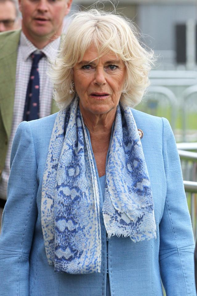  Camilla Parker-Bowles has been described as the 'third person' in the marriage between Diana and Charles