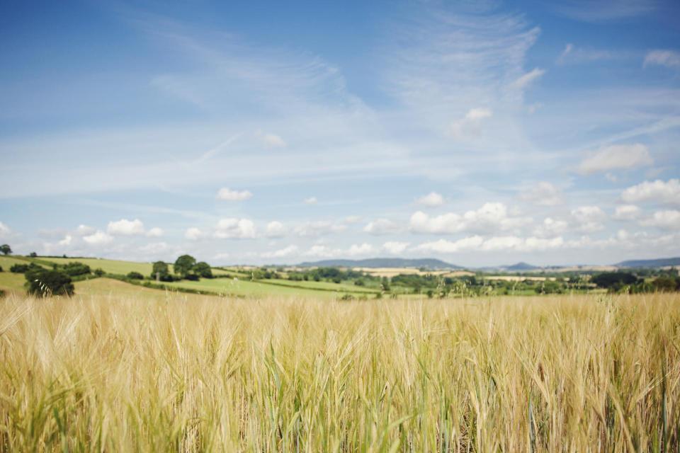  The views from Lyde Court in Herefordshire, which is part of the vast Duchy of Cornwall Estate