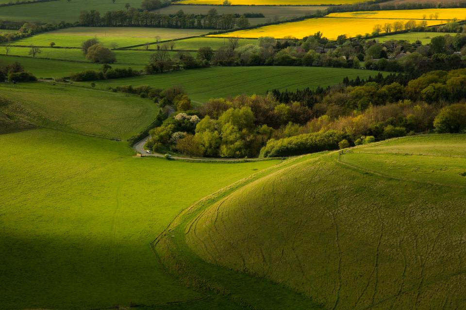  Oxfordshire, which is famous for its rolling hills, riverside meadows and mature woodland