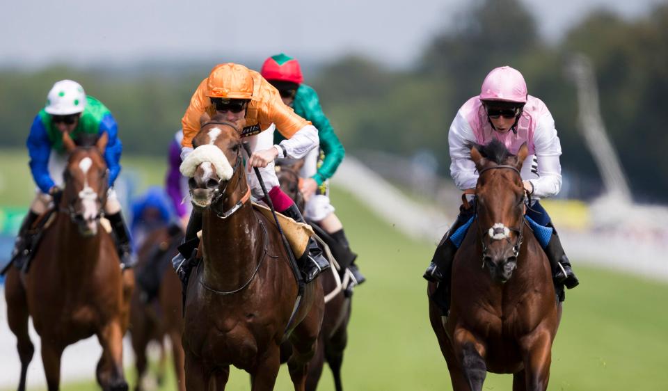  Steve Mullen likes Hors De Combat (orange) at a price in Sandown's 2.25