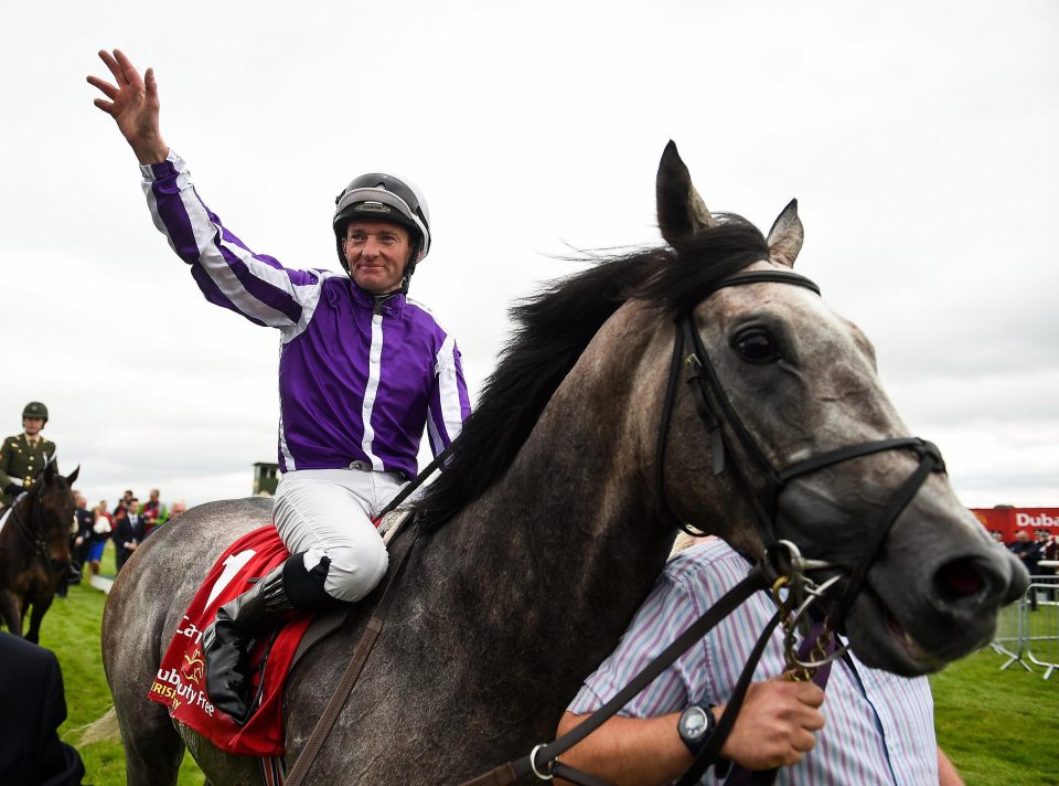  Seamie Heffernan won the Irish Derby with Capri