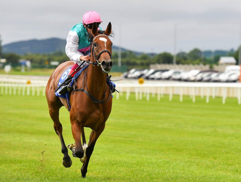  Enable was an easy winner of the Irish Oaks on her last start