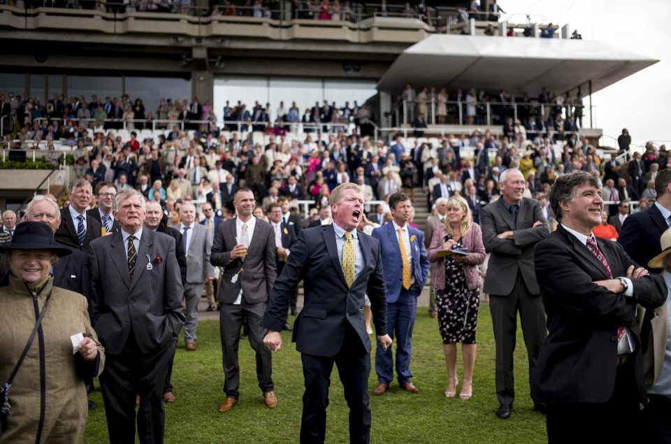 goodwood racecourse