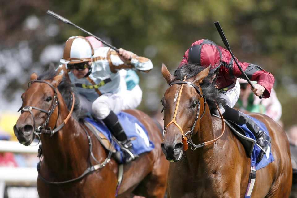 salisbury racecourse