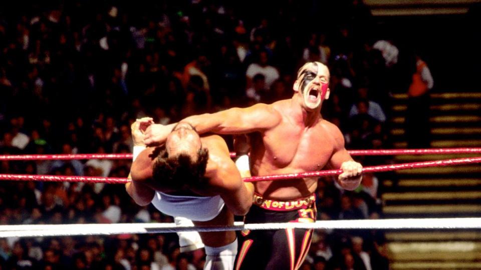  Road Warrior Hark was also in action with tag team-mate Animal