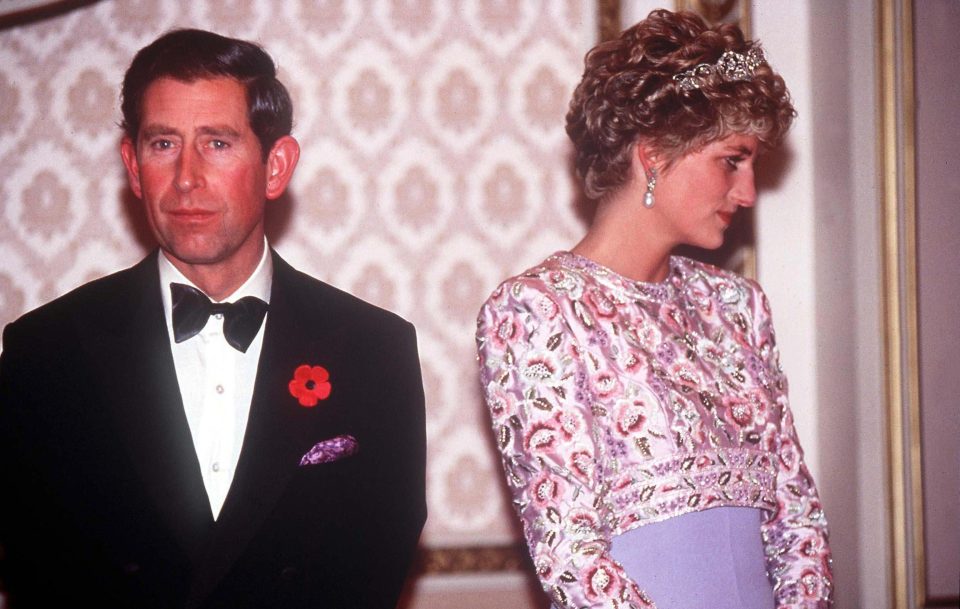 Princess Diana blasted the Royal Family as 'not very loving' in the secret tape