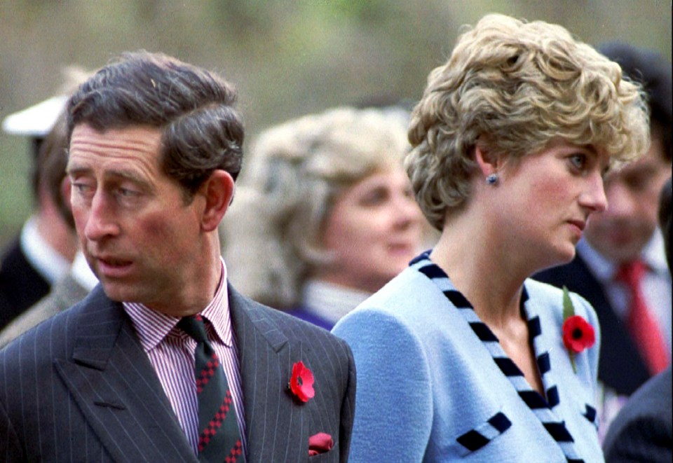 Diana told the pop superstar the break-up from Prince Charles was 'grim'