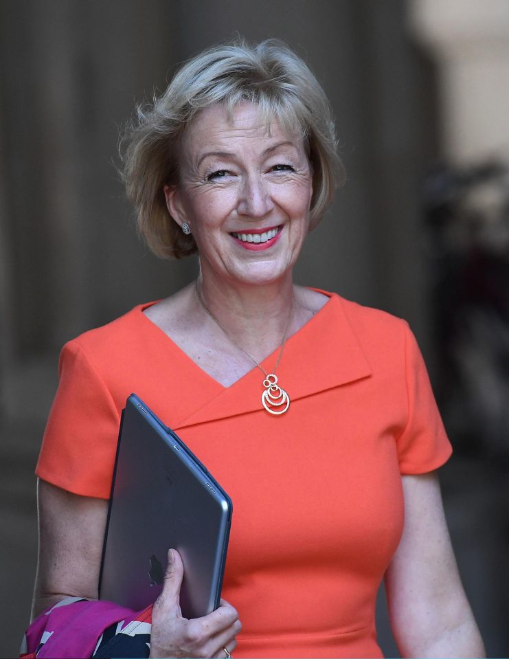  Andrea Leadsom remains a staunch Brexiteer