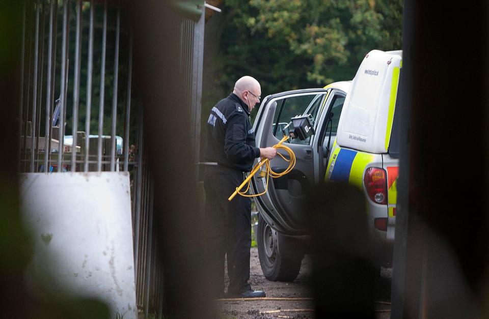  The two dogs escaped the farm before being seized nearby