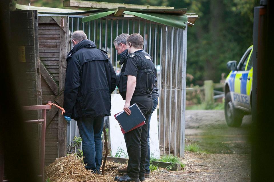  The RSPCA entered Woodhill Farm and found 102 dogs