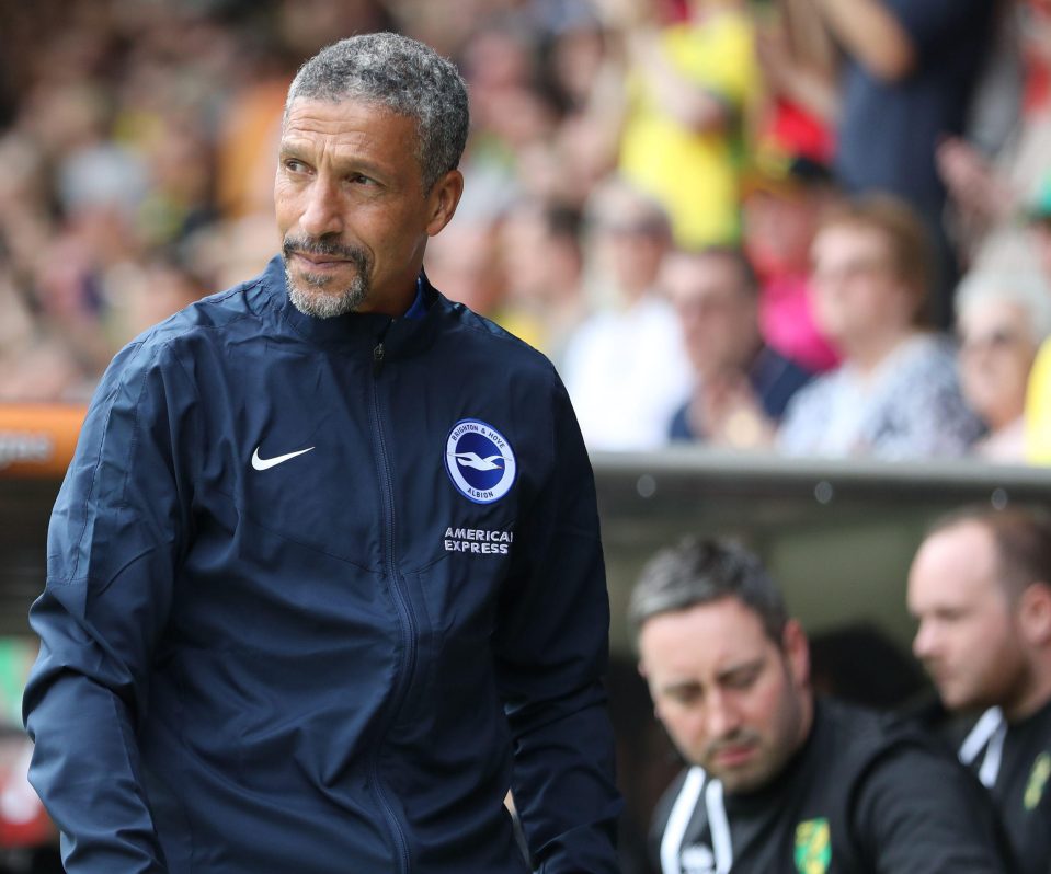 Seagulls chief Chris Hughton has finally been given the chance to spend big to find a new frontman