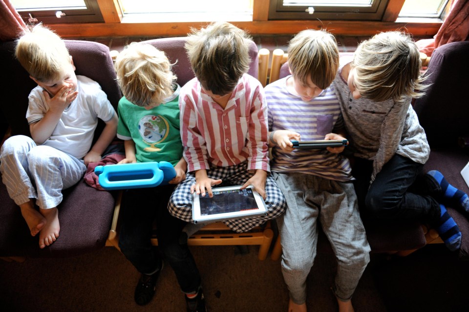 Summer binge … parents are warned to limit children’s use of the internet and social media during the holidays