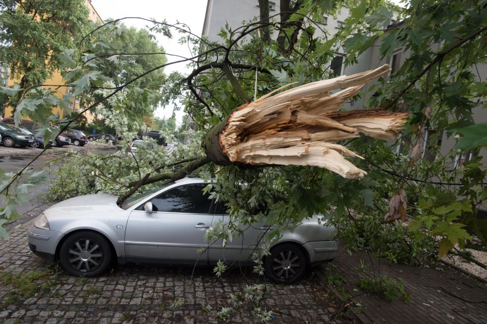  A fallen tree sits on a damaged car after a heavy storm hit Lodz, central Poland