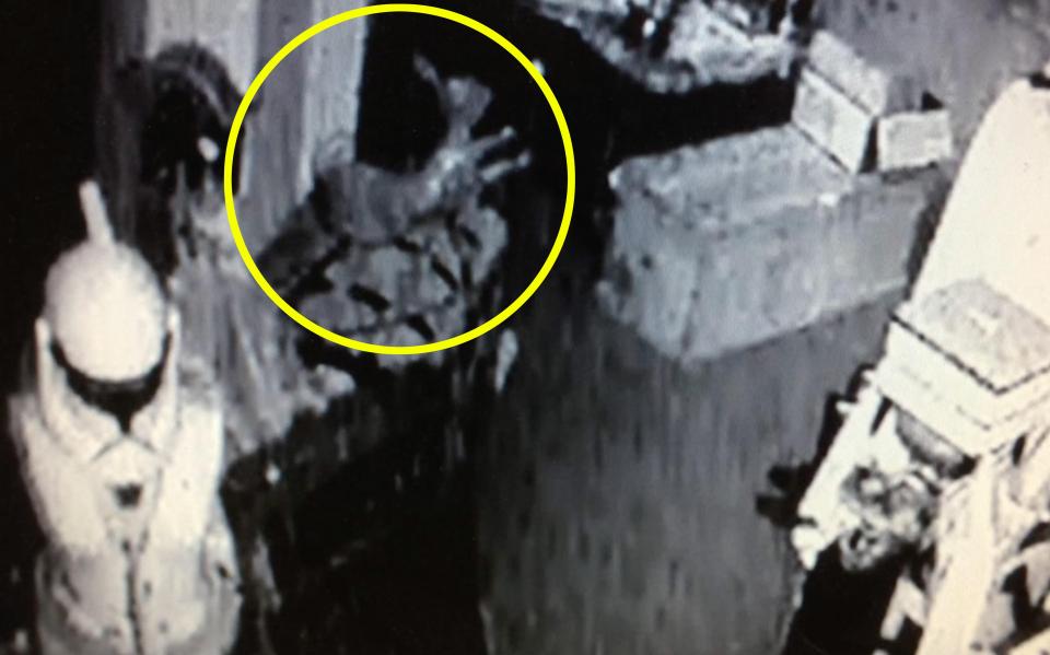  CCTV footage appears to show the rocking horse moving on its own in a shop in Barnsley