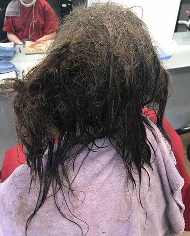  A schoolgirl who was too depressed to brush her hair had asked to have the matted and tangled mane shaved off