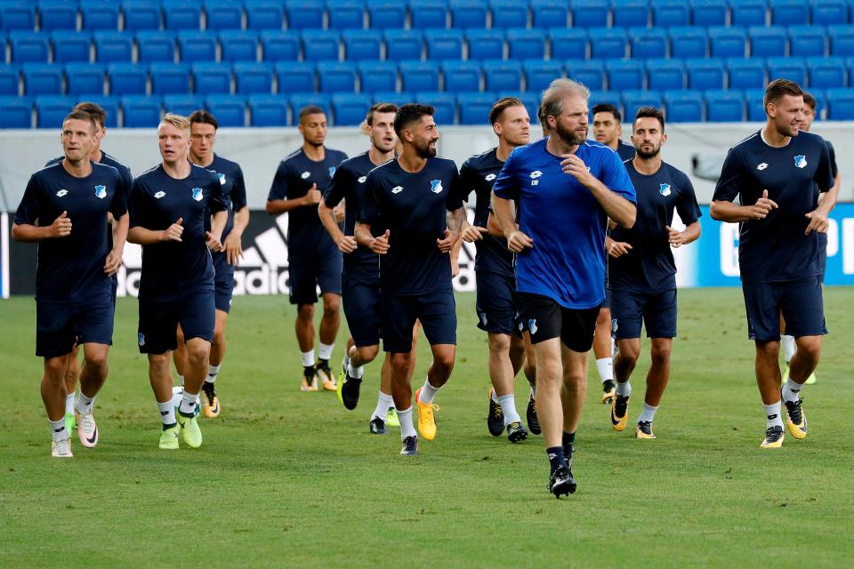  Hoffenheim shocked Germany last season as they finished fourth in the Bundesliga