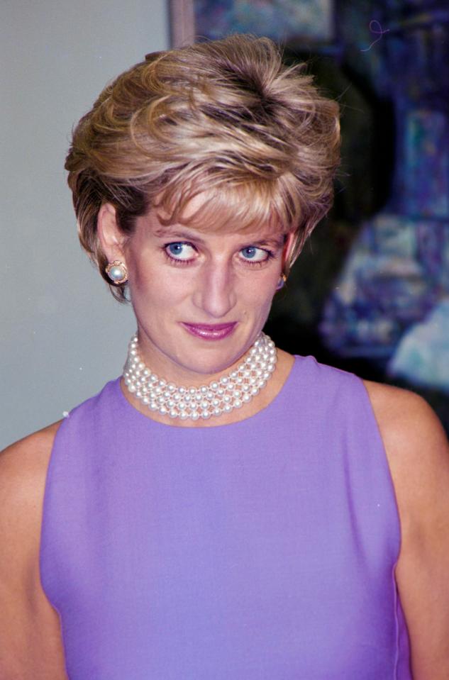  Britain lost a great ambassador when Princess Diana died, says Charles Rae