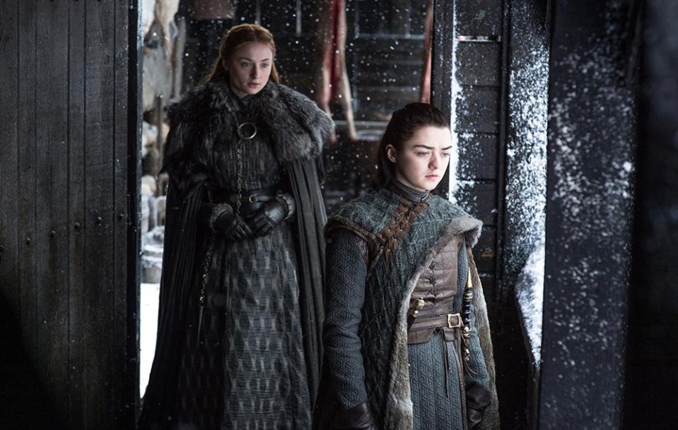 Arya is now a deadly assassin while Sansa is an accomplished and well-respected ruler