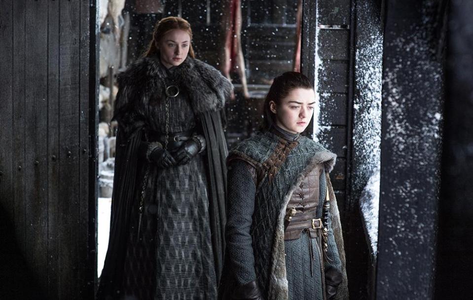  Arya is now a deadly assassin while Sansa is an accomplished and well-respected ruler