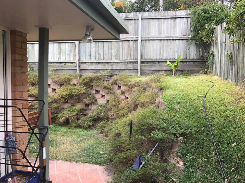  There's a sneaky snake hiding in this back garden... so can you spot it?