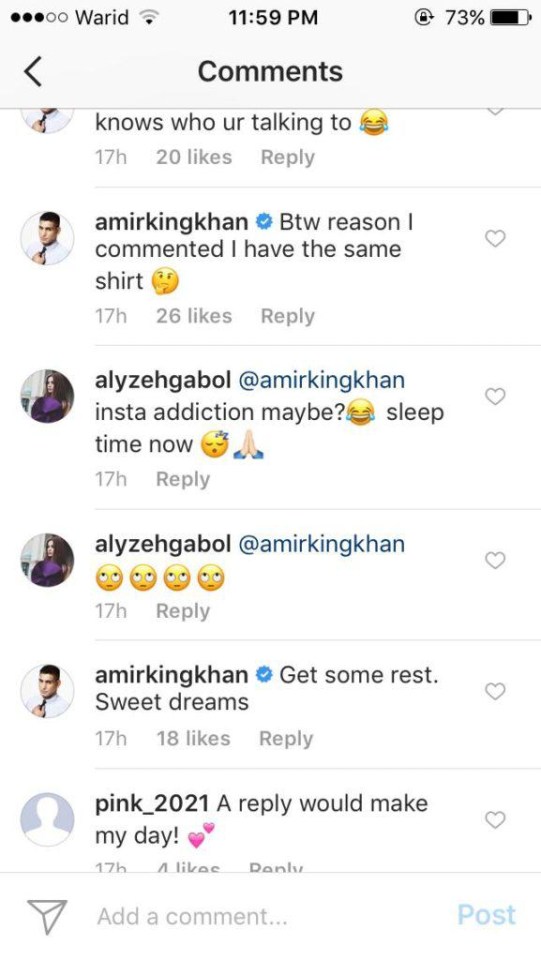 Khan apparently messaged Alyzeh from his official Instagram account