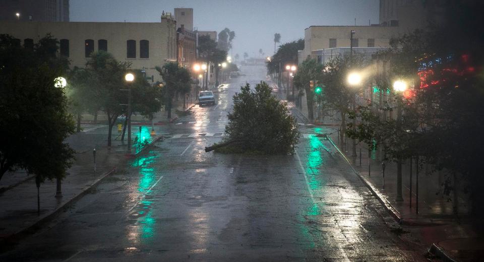  A tree was thrown across the road in Corpus Christi, Texas as the Category 4 storm made landfall on Friday night