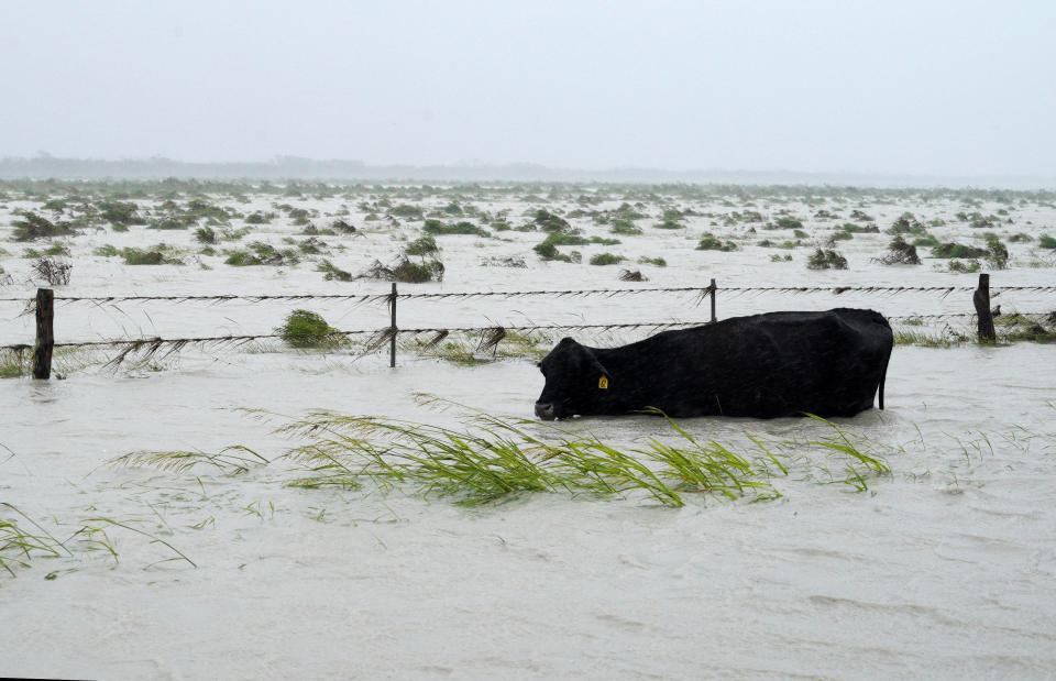  Vast flooding is threatening large swathes of Texas