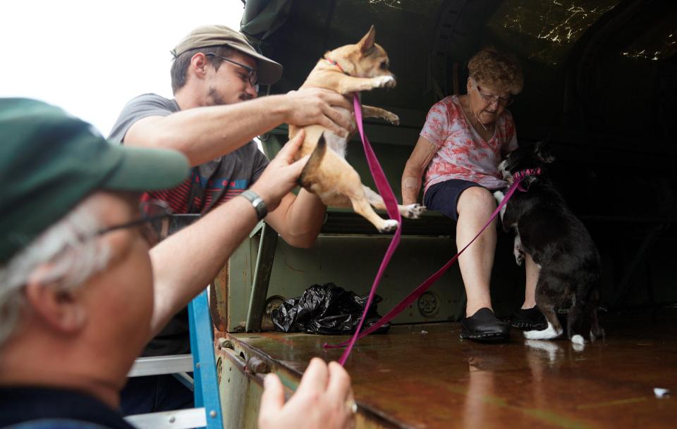  Caution (28/08/2017 at 00:57 ) Included in subscription Pets are evacuated from flood waters from Hurricane Harvey in Dickinson, Texas