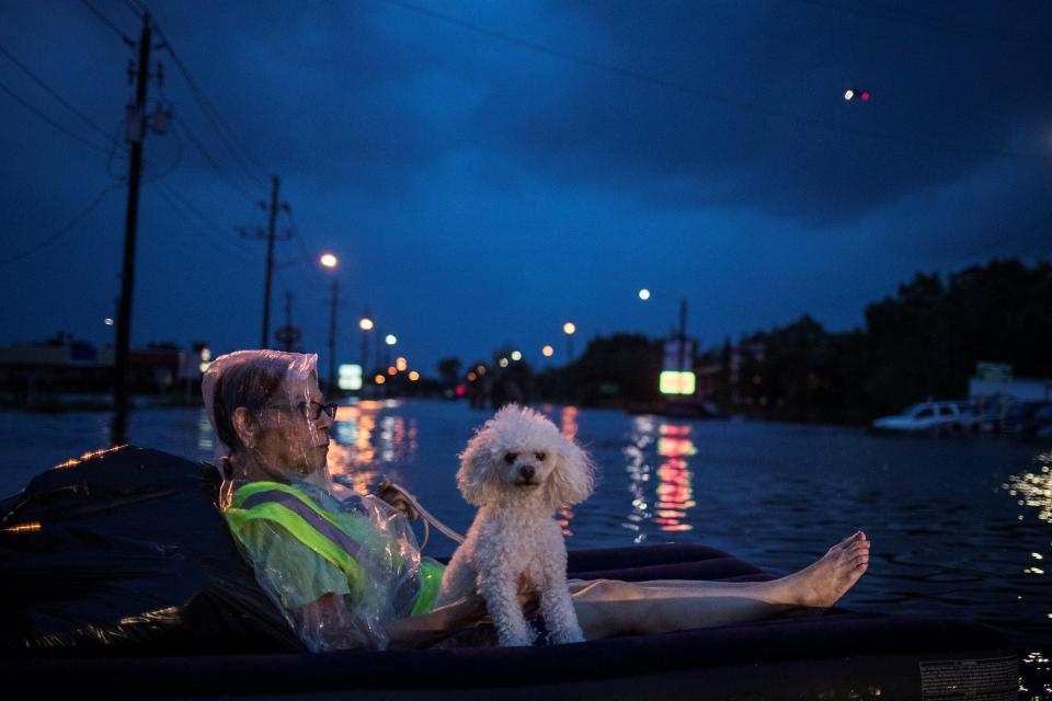 A rescue helicopter hovers in the background as an elderly woman and her poodle use an air mattress to float 