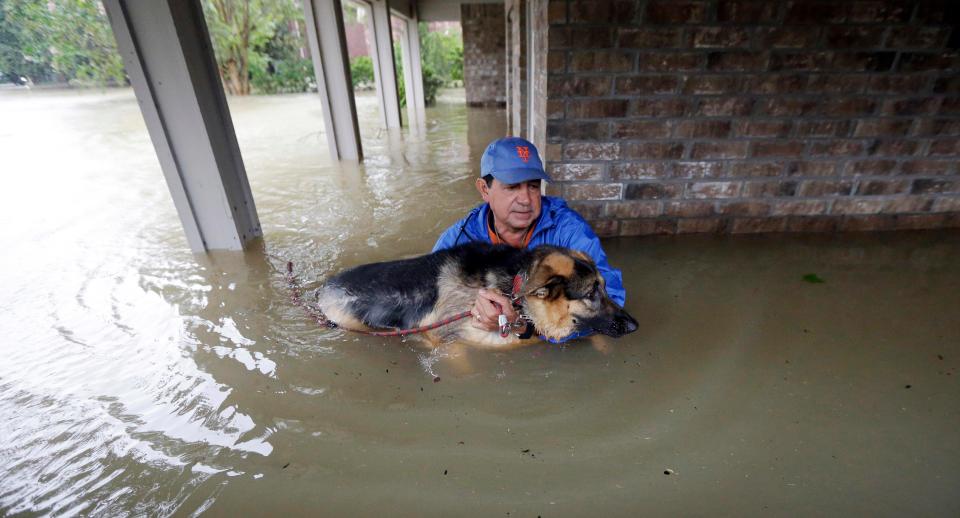  The woman, from Porter, Texas, was napping on Monday when the tree fell