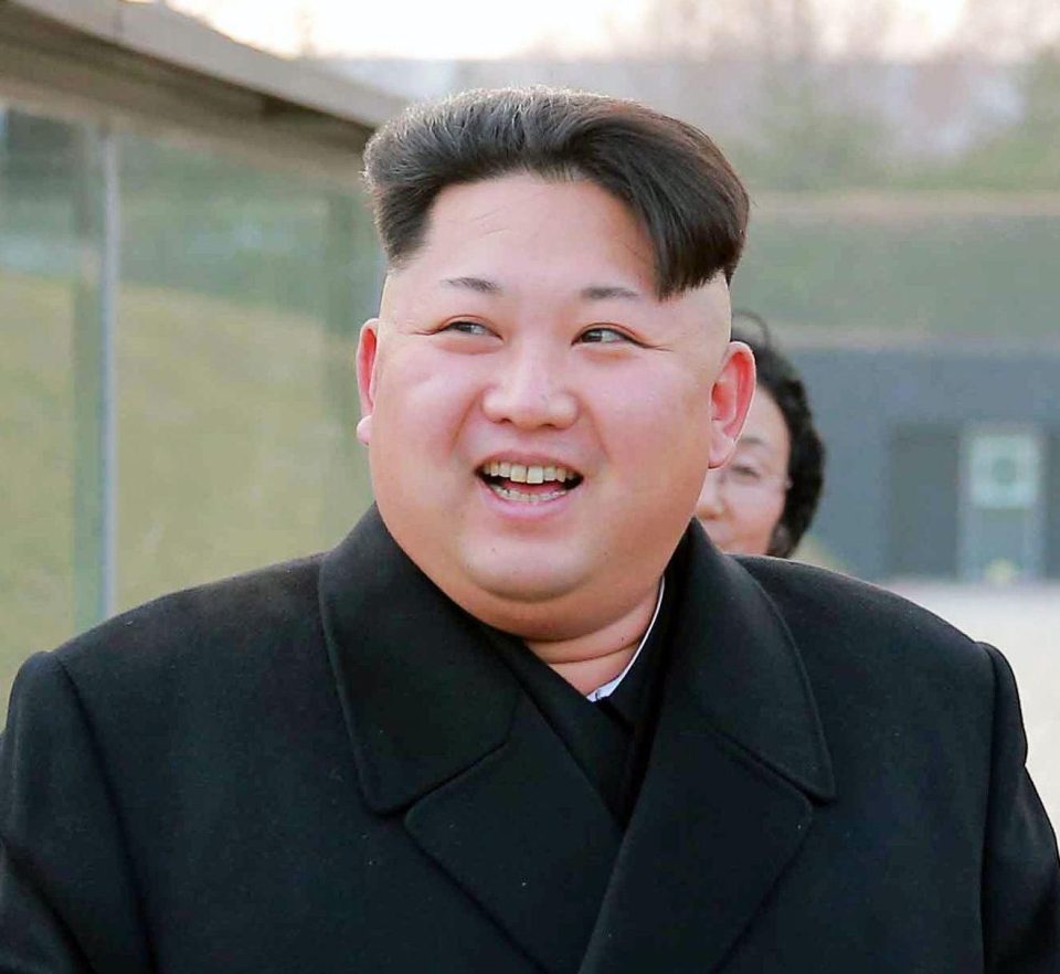  Despot leader Kim Jong-un really needs to be put in his place