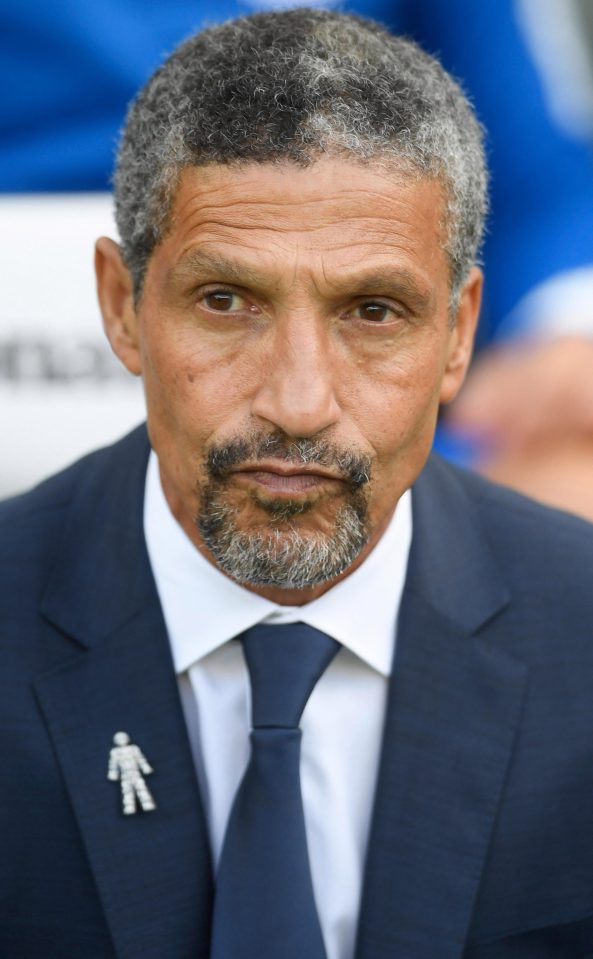  Brighton boss Chris Hughton has been chasing a proven striker and seems to have landed one in Senegal's Khouma Babacar