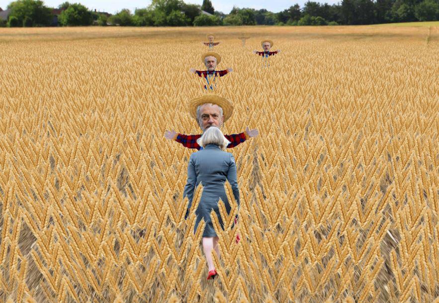  Mrs May's revelation even inspired a computer game where you took the PM through a field