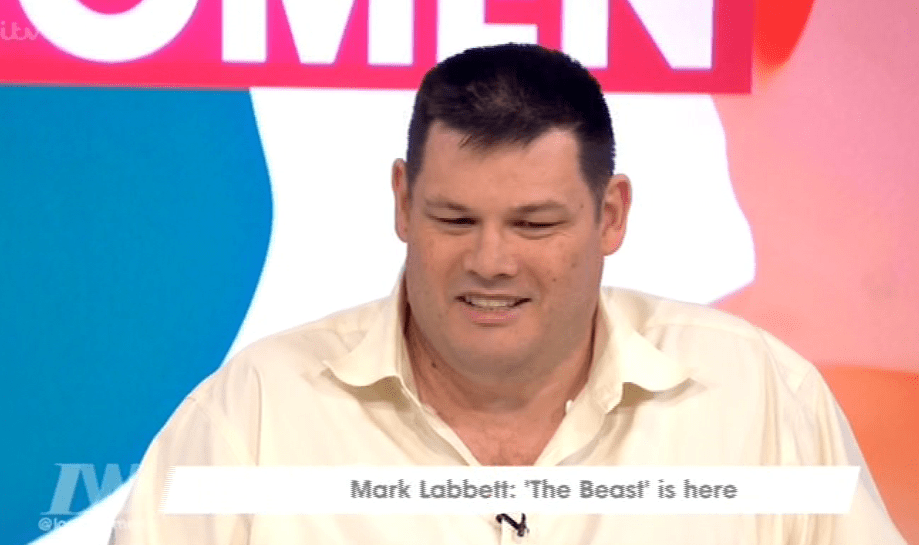  Mark worked as a teacher for 15 years prior to his role on The Chase