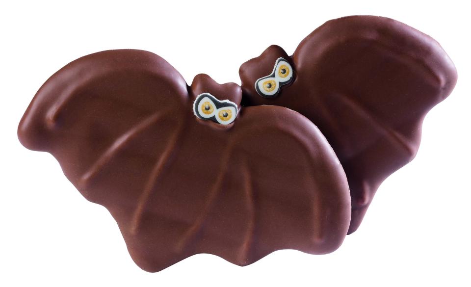  The Bat Biscuit is great to treat the little terrors this Halloween