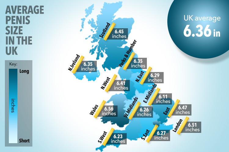 This is the average penis size in the UK by region