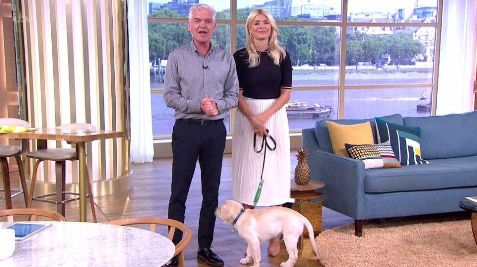  Phil and Holly came back from the break with Digby on a lead in front of them