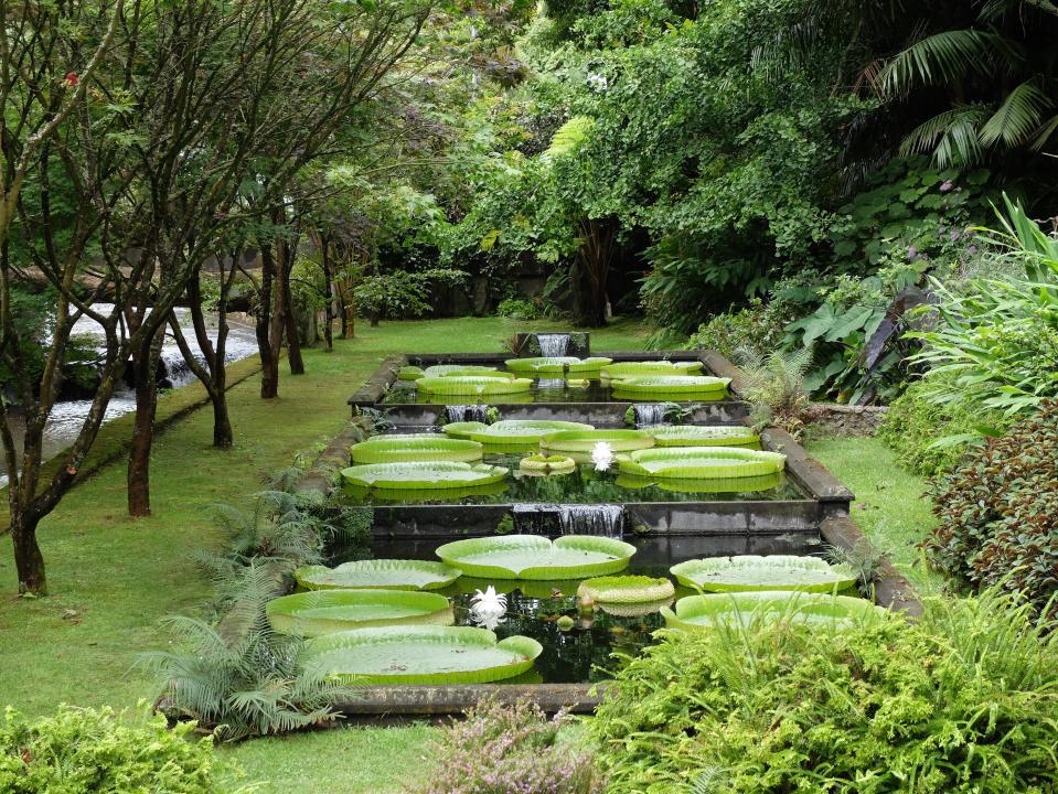  Relax with a trip to the islands' Botanical gardens