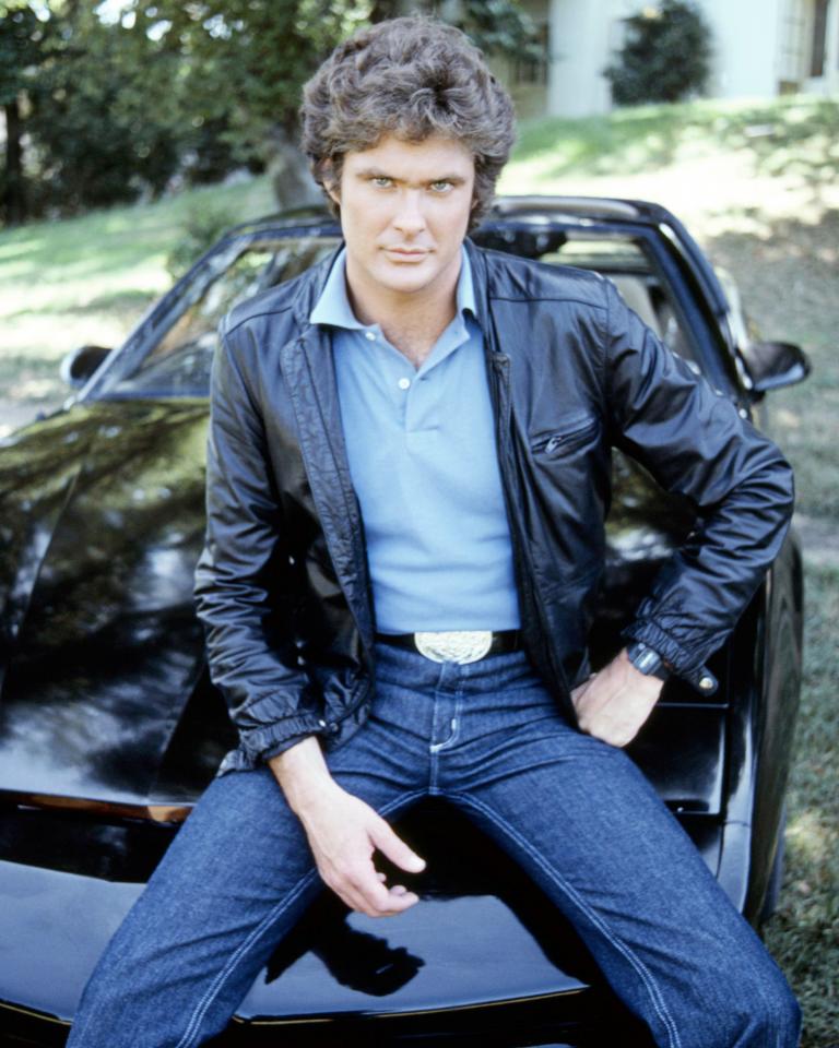 Hasselhoff shot to fame in 1980s TV show Knight Rider