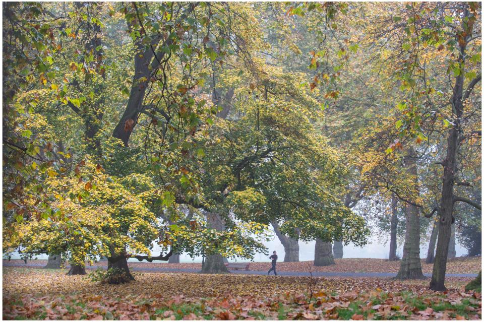  A jogger runs through Battersea Park on a foggy Autumn day