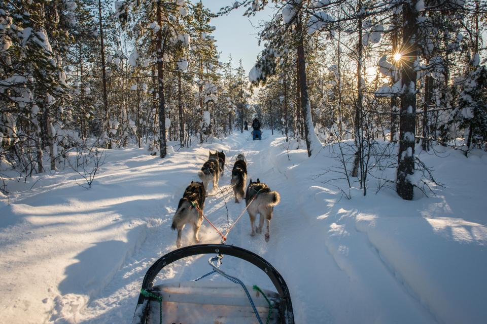  We enjoyed the few hours of daylight at this time of year in Finland